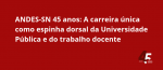 45 anos do ANDES-SN: A carreira única como espinha dorsal da Universidade Pública e do trabalho docente